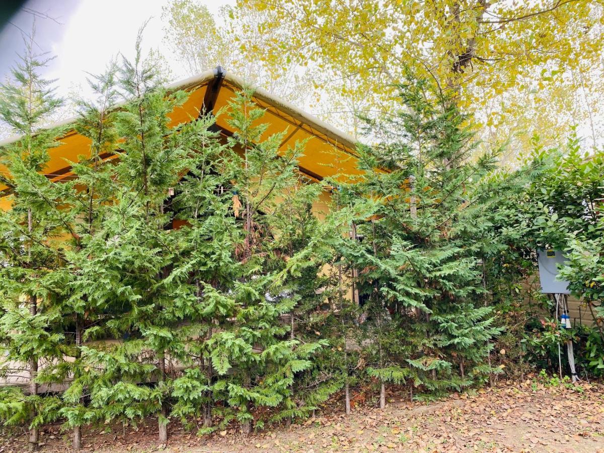 Glamping Tent With Bathroom-tuscany Close To Sea! * Viareggio